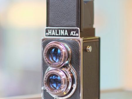 Halina AI on Sale