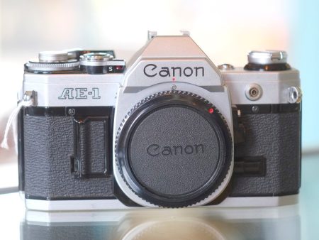 Canon AE-1 on Sale