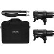 Profoto D2 Duo 500 500 AirTTL 2-Light Kit Online