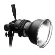 Profoto ProHead Plus Flash Head with Zoom Reflector For Sale